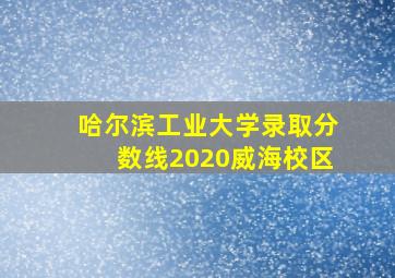 哈尔滨工业大学录取分数线2020威海校区