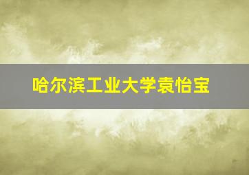 哈尔滨工业大学袁怡宝