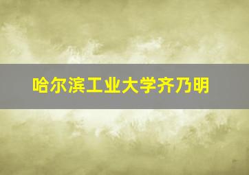 哈尔滨工业大学齐乃明