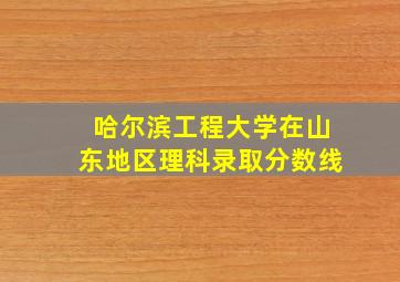 哈尔滨工程大学在山东地区理科录取分数线