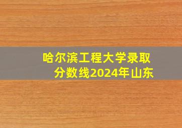 哈尔滨工程大学录取分数线2024年山东