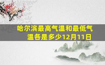 哈尔滨最高气温和最低气温各是多少12月11日