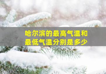 哈尔滨的最高气温和最低气温分别是多少