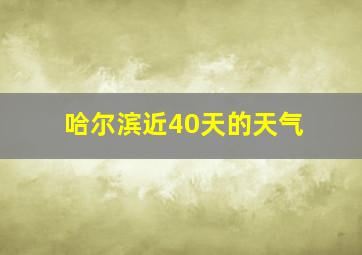 哈尔滨近40天的天气