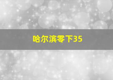 哈尔滨零下35