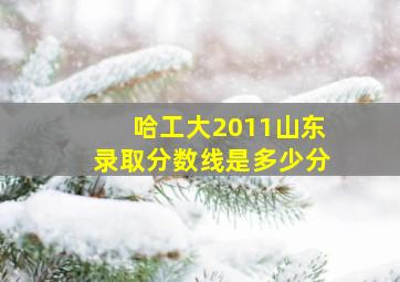 哈工大2011山东录取分数线是多少分