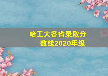 哈工大各省录取分数线2020年级