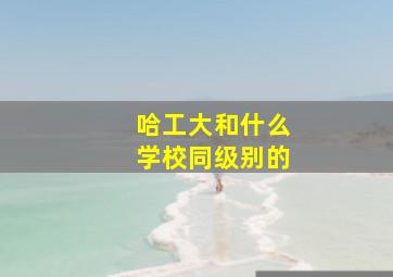 哈工大和什么学校同级别的