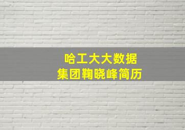 哈工大大数据集团鞠晓峰简历