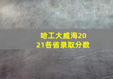 哈工大威海2021各省录取分数