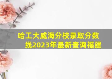 哈工大威海分校录取分数线2023年最新查询福建