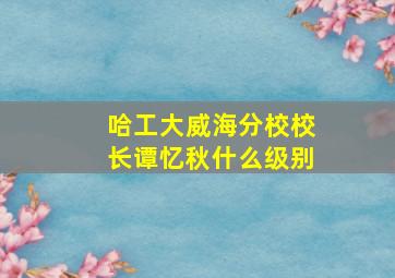 哈工大威海分校校长谭忆秋什么级别