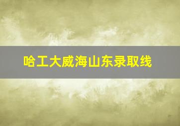 哈工大威海山东录取线