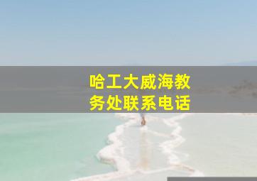 哈工大威海教务处联系电话