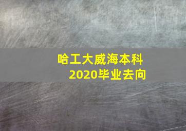 哈工大威海本科2020毕业去向