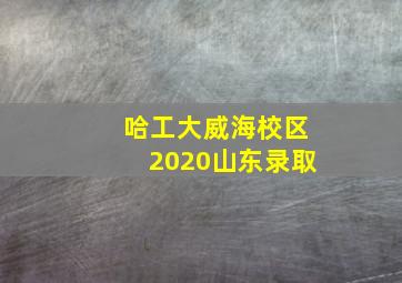 哈工大威海校区2020山东录取