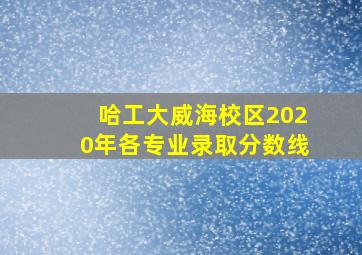 哈工大威海校区2020年各专业录取分数线