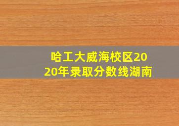 哈工大威海校区2020年录取分数线湖南