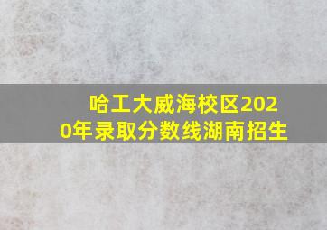 哈工大威海校区2020年录取分数线湖南招生