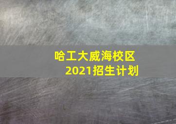 哈工大威海校区2021招生计划