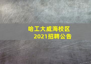 哈工大威海校区2021招聘公告