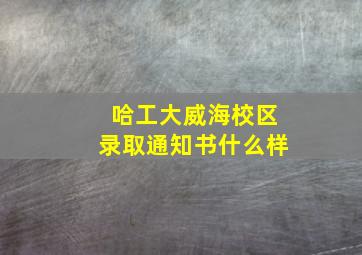 哈工大威海校区录取通知书什么样