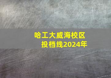 哈工大威海校区投档线2024年