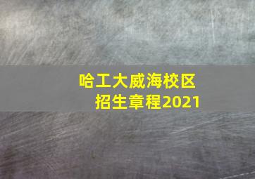 哈工大威海校区招生章程2021