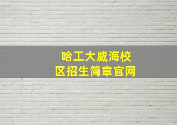 哈工大威海校区招生简章官网