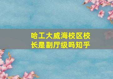 哈工大威海校区校长是副厅级吗知乎