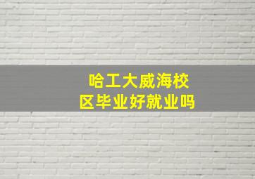 哈工大威海校区毕业好就业吗