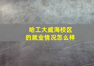 哈工大威海校区的就业情况怎么样