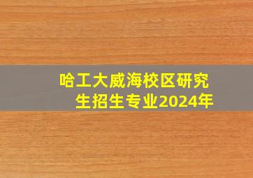 哈工大威海校区研究生招生专业2024年