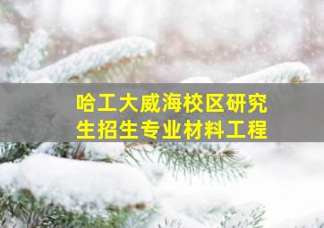 哈工大威海校区研究生招生专业材料工程