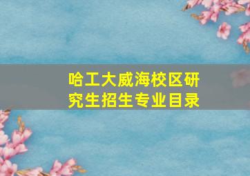 哈工大威海校区研究生招生专业目录