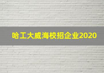 哈工大威海校招企业2020