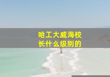 哈工大威海校长什么级别的