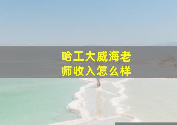 哈工大威海老师收入怎么样