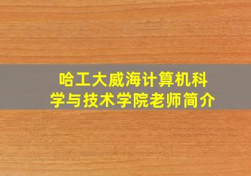 哈工大威海计算机科学与技术学院老师简介