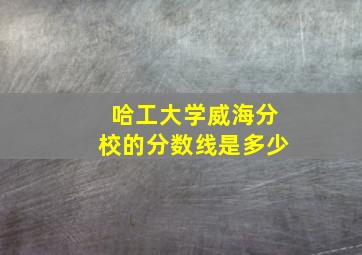 哈工大学威海分校的分数线是多少