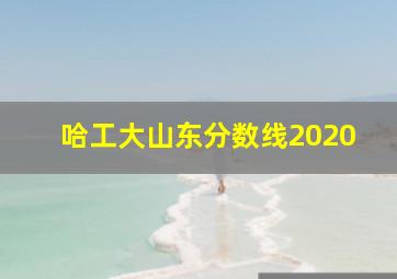 哈工大山东分数线2020