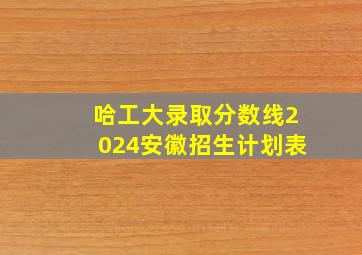 哈工大录取分数线2024安徽招生计划表