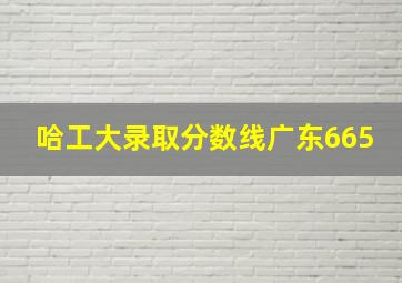 哈工大录取分数线广东665