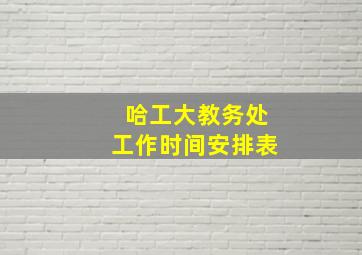 哈工大教务处工作时间安排表