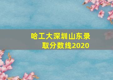 哈工大深圳山东录取分数线2020