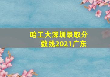 哈工大深圳录取分数线2021广东