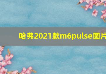 哈弗2021款m6pulse图片