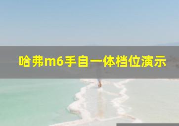 哈弗m6手自一体档位演示