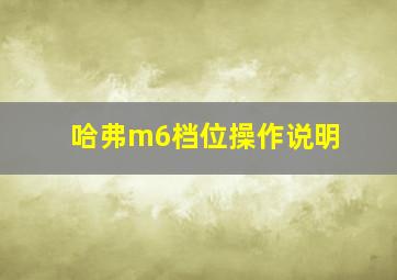 哈弗m6档位操作说明