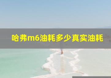 哈弗m6油耗多少真实油耗